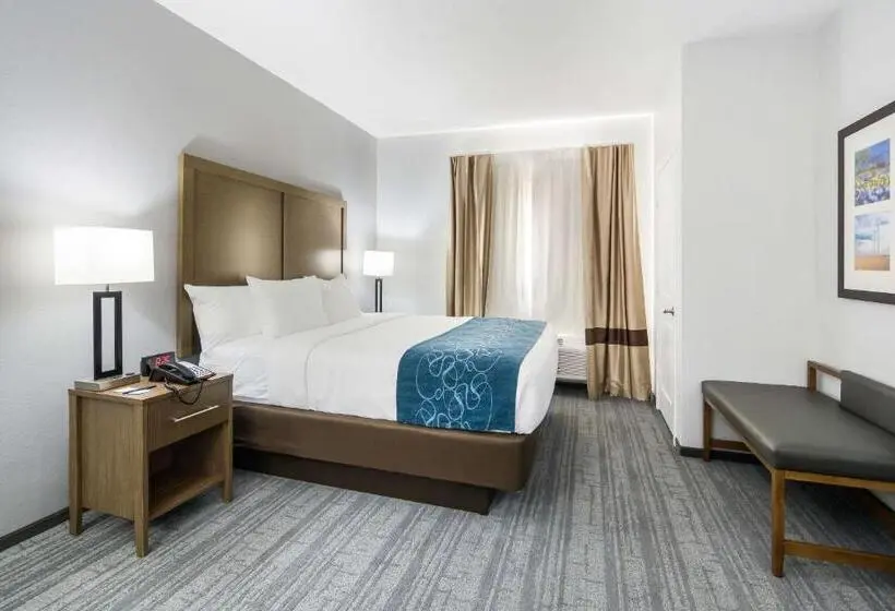 キングサイズベッドのスイートルーム, Comfort Suites Desoto Dallas South