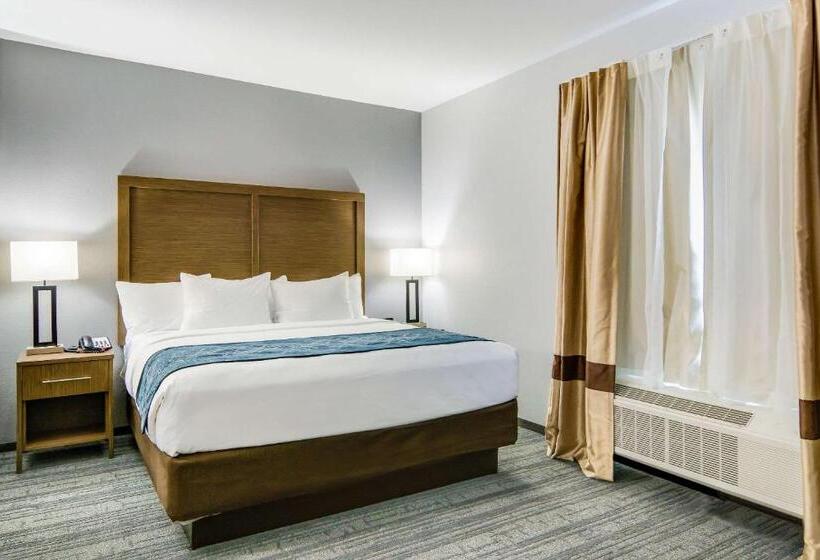 キングサイズベッドのスイートルーム, Comfort Suites Desoto Dallas South