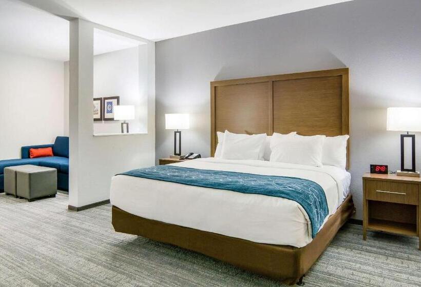 身障者適用スイートルーム, Comfort Suites Desoto Dallas South