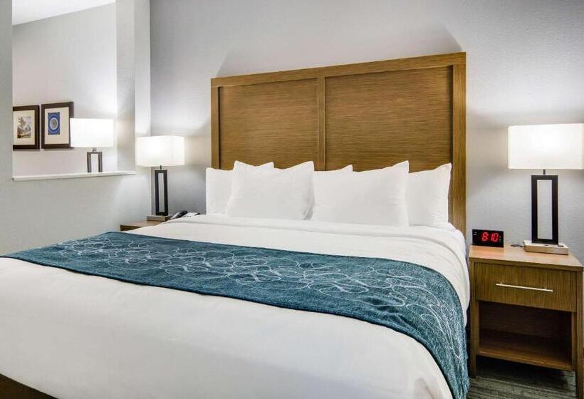 身障者適用スイートルーム, Comfort Suites Desoto Dallas South