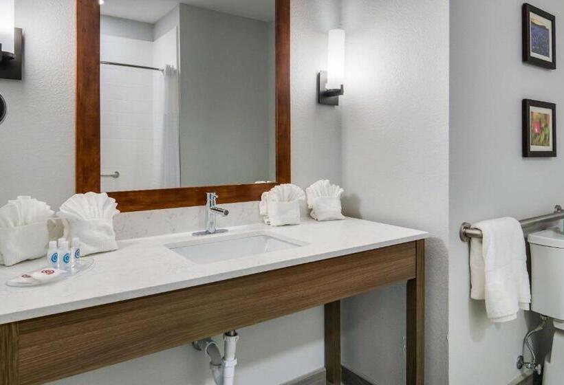 身障者適用スイートルーム, Comfort Suites Desoto Dallas South