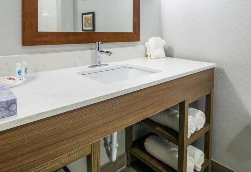 スイート, Comfort Suites Desoto Dallas South