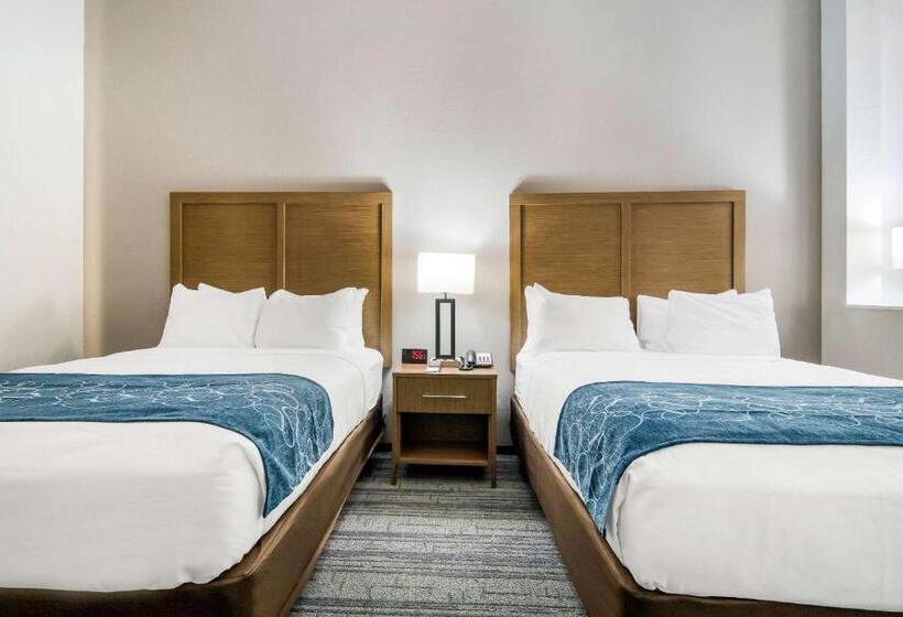 Люкс, Comfort Suites Desoto Dallas South