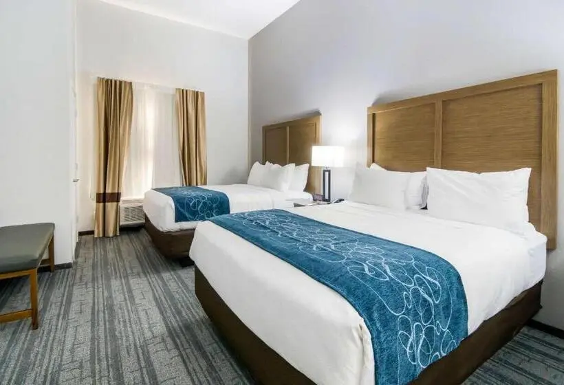 スイート, Comfort Suites Desoto Dallas South