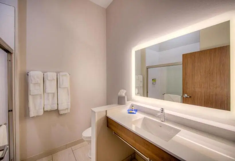 スタンダードルーム, Holiday Inn Express & Suites   Remington, An Ihg