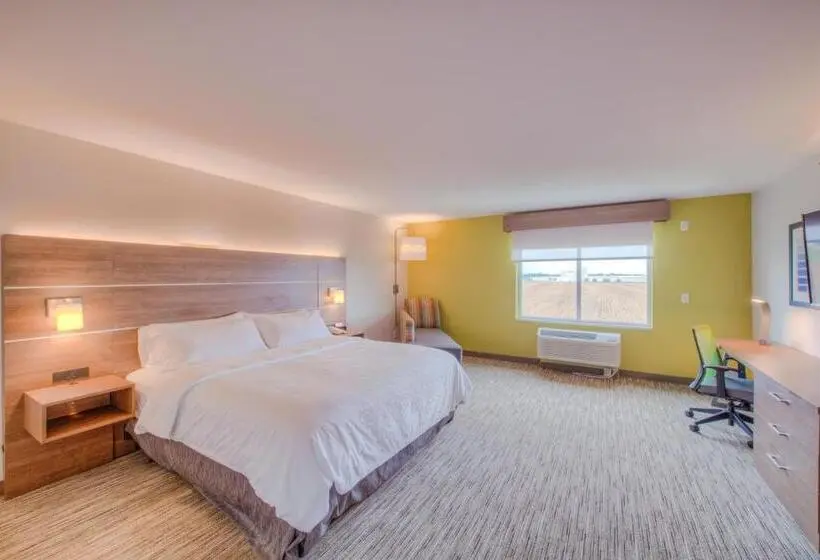 キングサイズベッドのエクゼクティブルーム, Holiday Inn Express & Suites   Remington, An Ihg