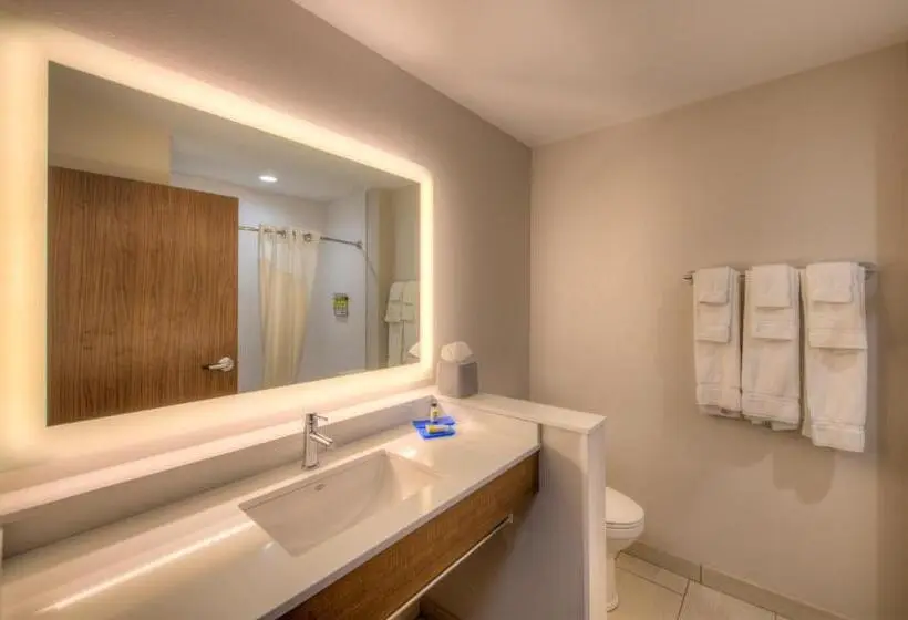 スイート, Holiday Inn Express & Suites   Remington, An Ihg