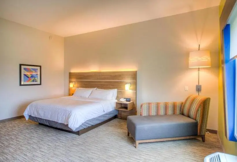 身障者適用キングサイズベッドルーム, Holiday Inn Express & Suites   Remington, An Ihg
