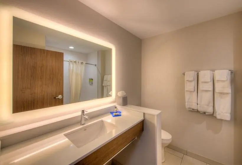 スイート, Holiday Inn Express & Suites   Remington, An Ihg