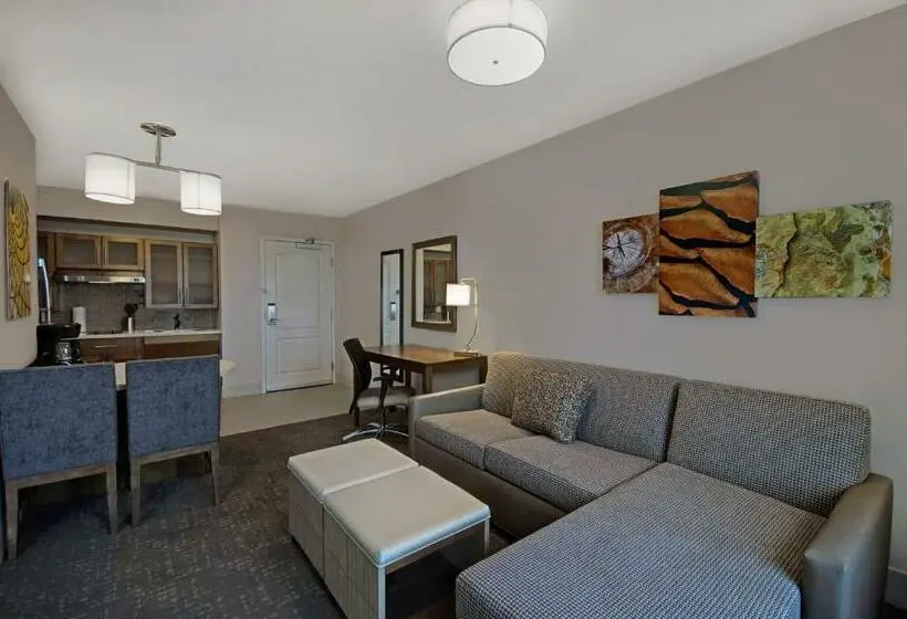 身障者適用キングサイズベッドルーム, Staybridge Suites   Sterling Heights  Detroit Area, An Ihg