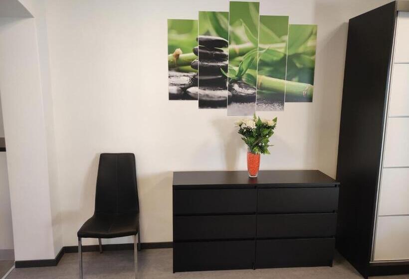 Studio Standard, Viktor Rooms And Apartments