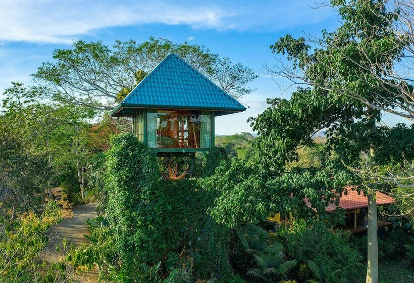 منزل غرفة نوم واحدة, Anamaya