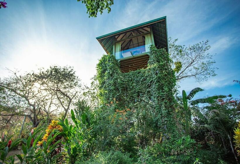 Дом 1 Спальня, Anamaya