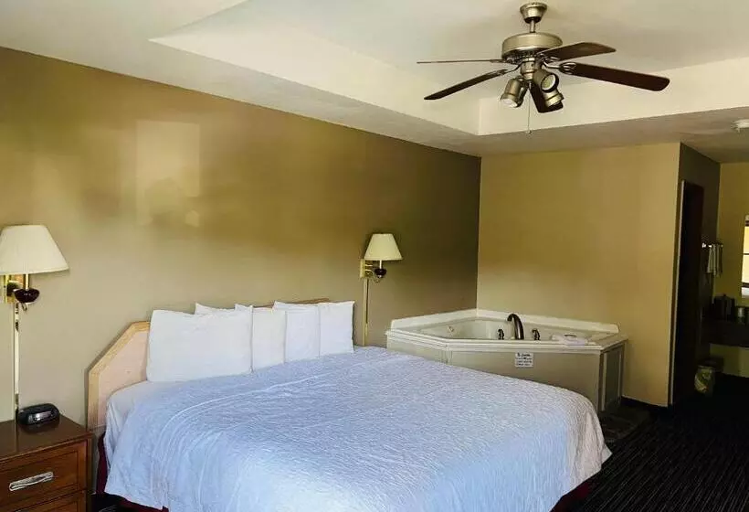 シングルデラックスルーム, Alpine Valley Inn