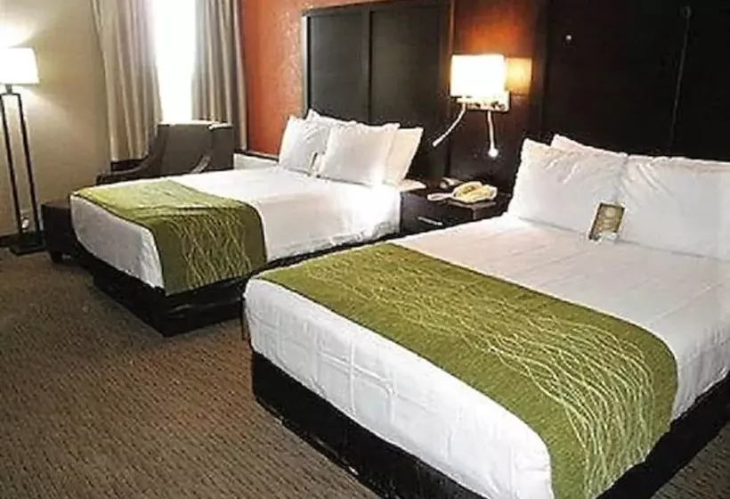 ２ダブルベッドのスタンダードルーム, Comfort Inn & Suites Evansville Airport