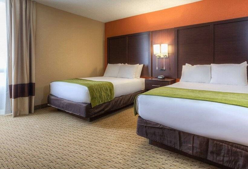 Standard Værelse 2 Dobbeltsenge, Comfort Inn & Suites Evansville Airport