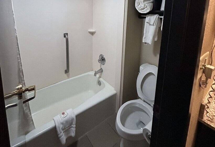 스탠다드 룸 더블 침대 2개, Comfort Inn & Suites Evansville Airport