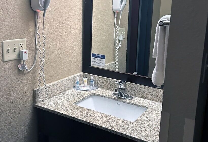 스탠다드 룸 더블 침대 2개, Comfort Inn & Suites Evansville Airport