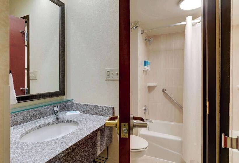 デラックスルーム, Drury Inn & Suites Atlanta Marietta