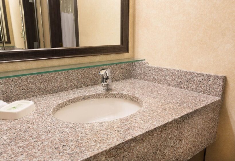 デラックスルーム, Drury Inn & Suites Atlanta Marietta