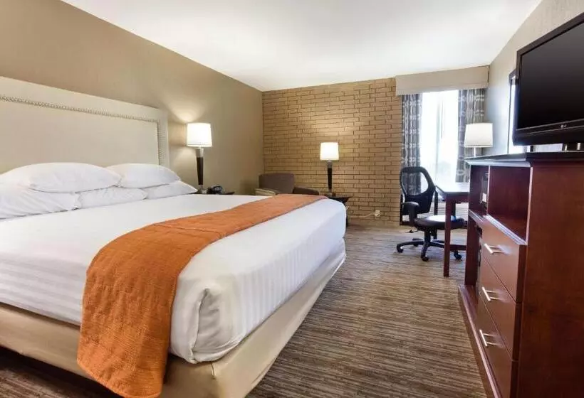 اتاق لوکس با تخت بزرگ, Drury Inn & Suites Kansas City Airport