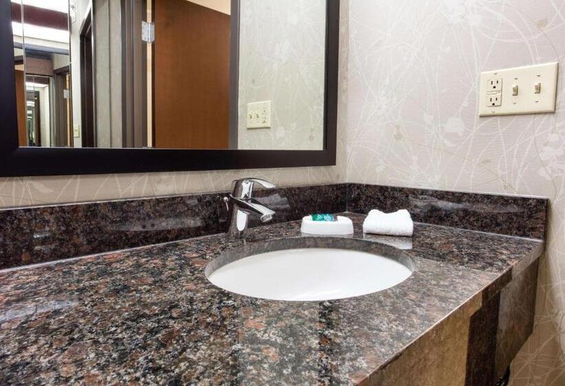 Люкс Кровать Кинг, Drury Inn & Suites Kansas City Airport
