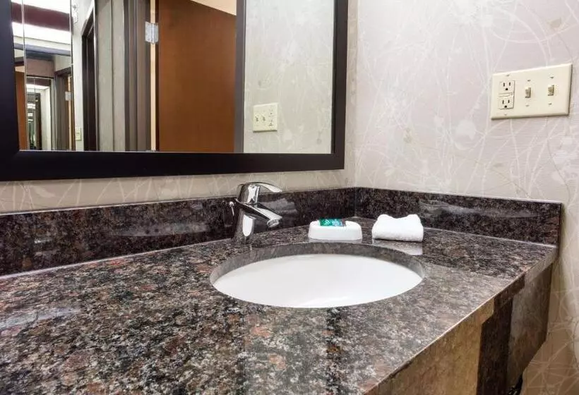 اتاق سوپریور با تخت بزرگ, Drury Inn & Suites Kansas City Airport