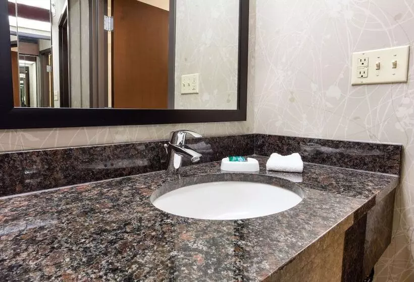 اتاق لوکس, Drury Inn & Suites Kansas City Airport