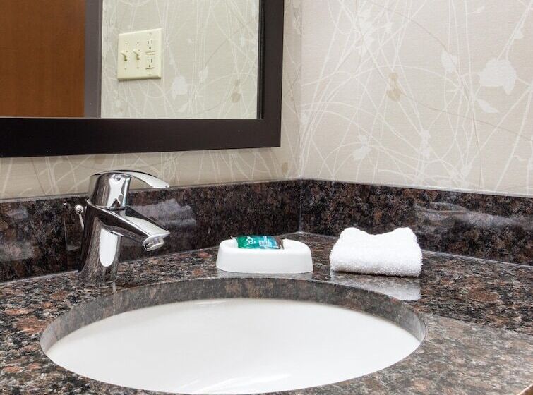 Номер Deluxe Адаптированный для Инвалидов, Drury Inn & Suites Kansas City Airport