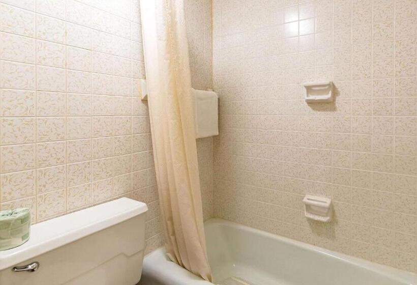 스탠다드 룸 킹사이즈 침대, Econo Lodge Worthington