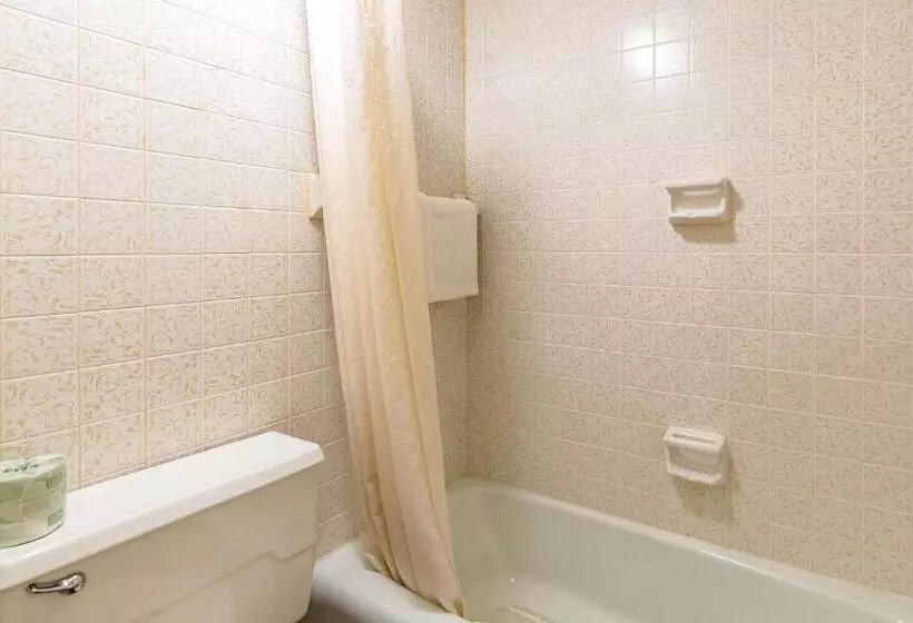 Standard-huone King-vuode, Econo Lodge Worthington