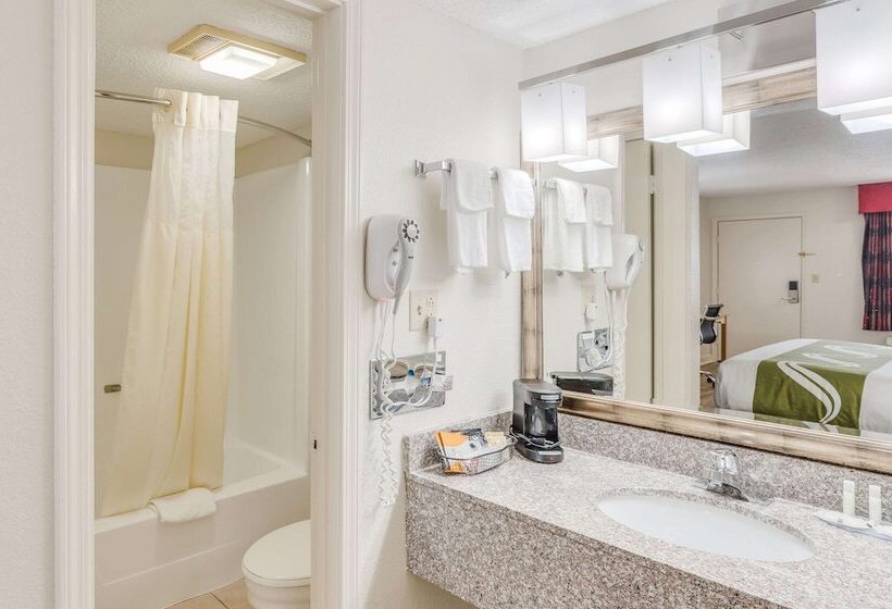 غرفه قياسيه سريرين مزدوجين, Quality Inn & Suites Hot Springslake Hamilton