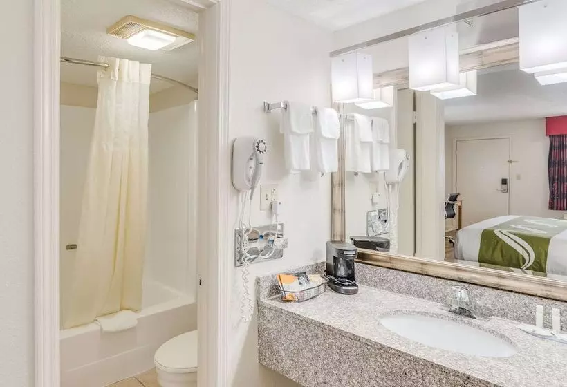 ２ダブルベッドのスタンダードルーム, Quality Inn & Suites Hot Springslake Hamilton