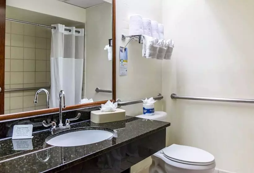 ２ダブルベッドのスタンダードルーム, Quality Inn & Suites Hot Springslake Hamilton