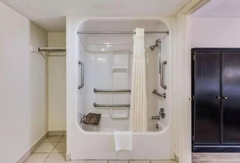身障者適用キングサイズベッドルーム, Quality Inn & Suites Hot Springslake Hamilton