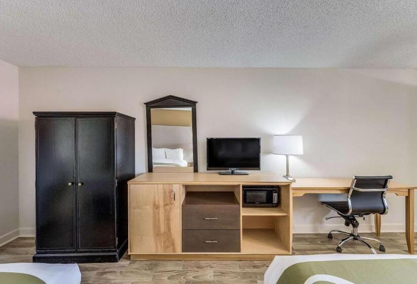 غرفة قياسية سرير كينج لذوى الإحتياجات الخاصة, Quality Inn & Suites Hot Springslake Hamilton