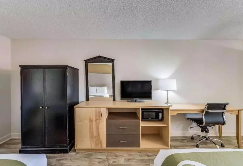 身障者適用キングサイズベッドルーム, Quality Inn & Suites Hot Springslake Hamilton