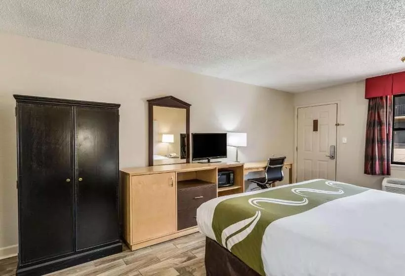 身障者適用キングサイズベッドルーム, Quality Inn & Suites Hot Springslake Hamilton