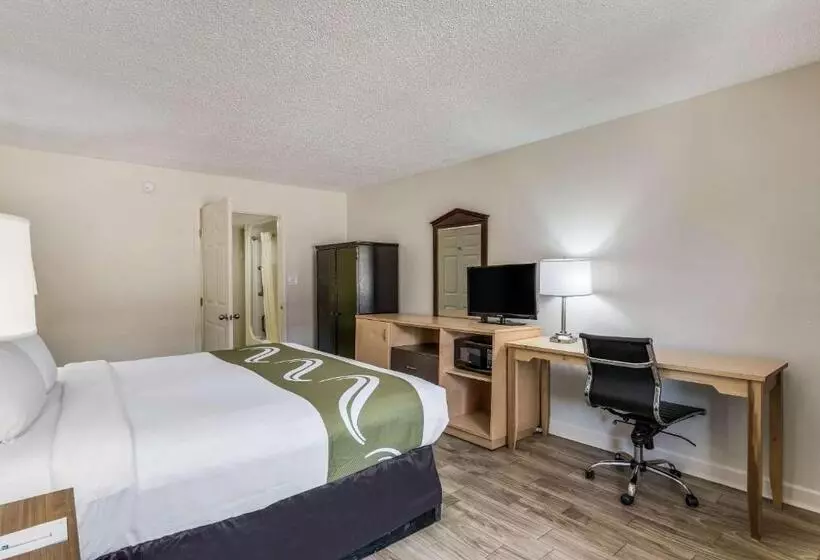 身障者適用キングサイズベッドルーム, Quality Inn & Suites Hot Springslake Hamilton