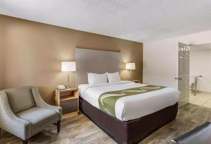 身障者適用キングサイズベッドルーム, Quality Inn & Suites Hot Springslake Hamilton