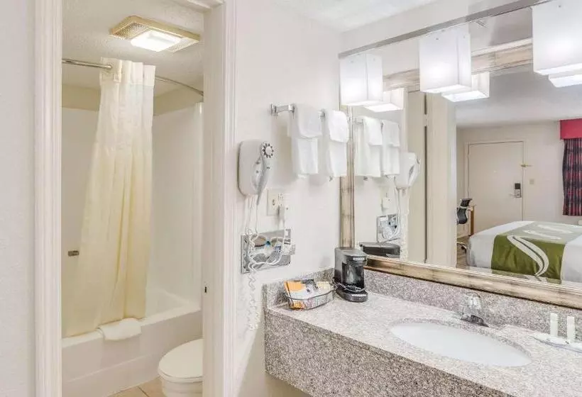 キングサイズベッドのスタンダードルーム, Quality Inn & Suites Hot Springslake Hamilton
