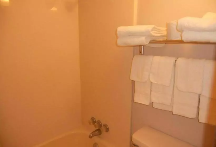 Standard-huone 2 Parivuodetta, Rapids Inn & Suites
