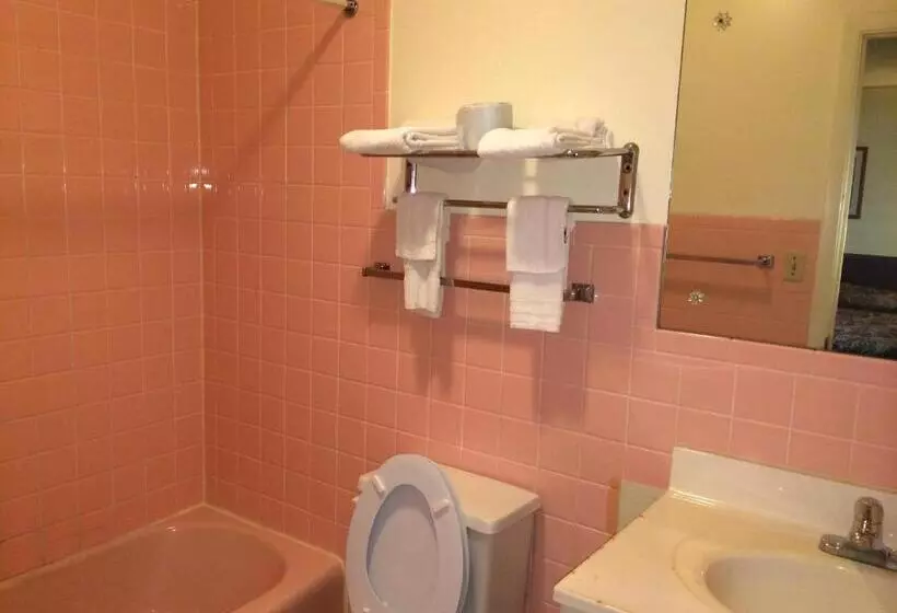 Standard Yhden Hengen Huone, Rapids Inn & Suites