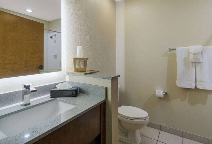 Люкс, Quality Inn & Suites Roanoke   Fort Worth North