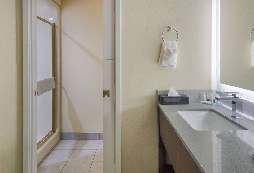 Люкс, Quality Inn & Suites Roanoke   Fort Worth North