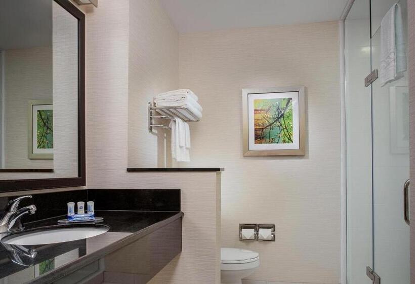 Люкс Кровать Кинг, Fairfield Inn & Suites Lincoln Crete