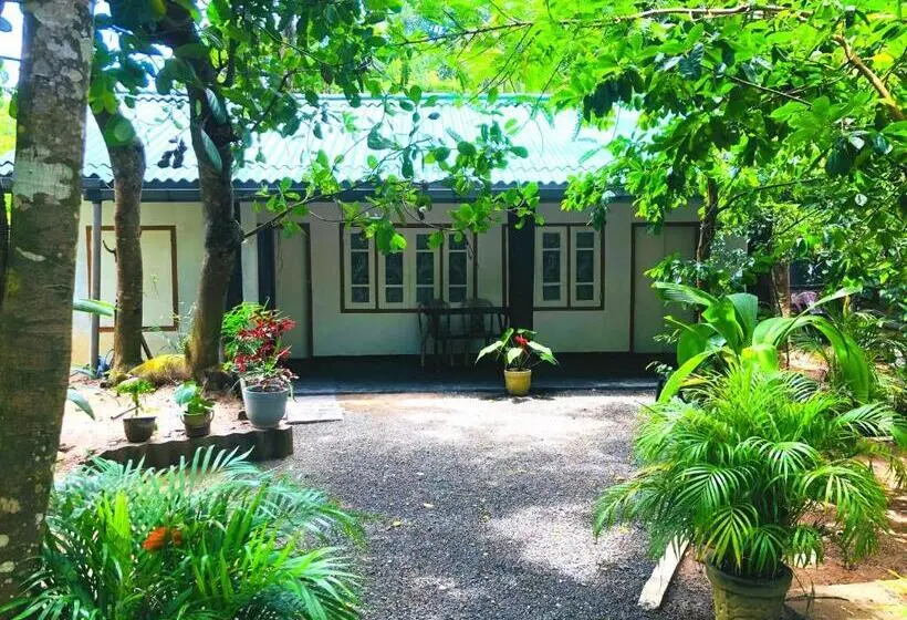 Standardzimmer mit Gartenblick, Drongo Place