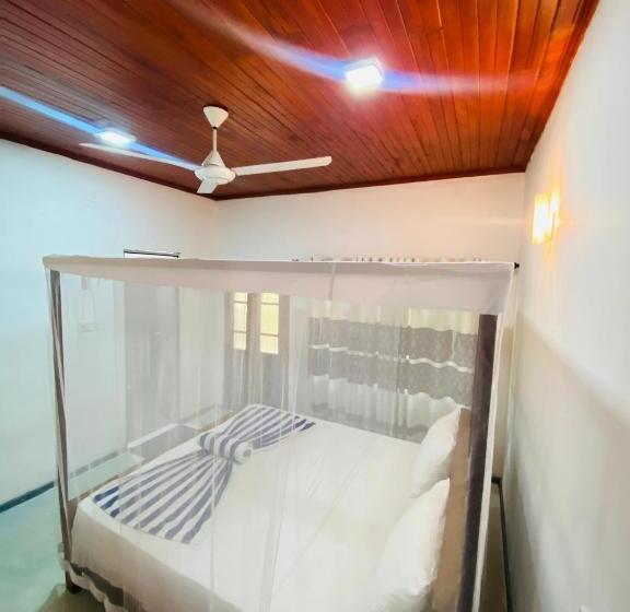 家庭间, Drongo Place