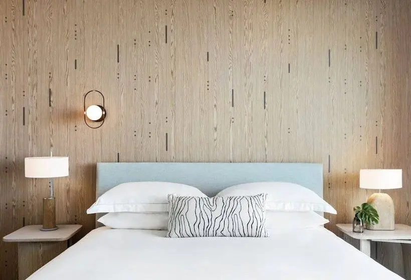 スタンダードルーム, Kimpton   Hotel Palomar South Beach, An Ihg