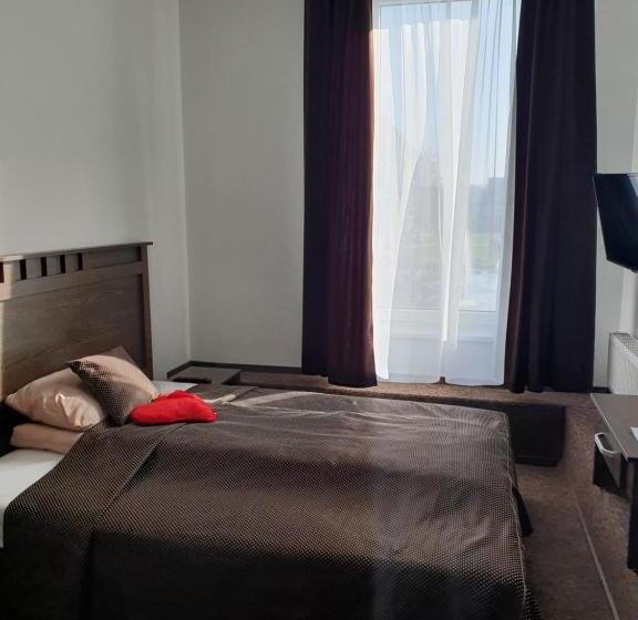 اتاق استاندارد یک نفره, Svetainė